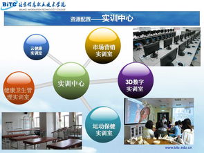 北京信息職業技術學院招生網信息技術咨詢服務指南