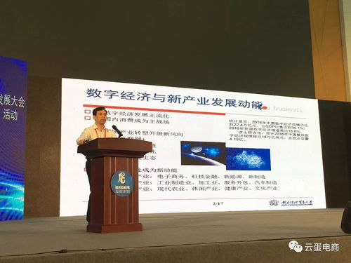 學(xué)者企業(yè)齊聚太白山麓，共繪縣域電商發(fā)展新藍圖